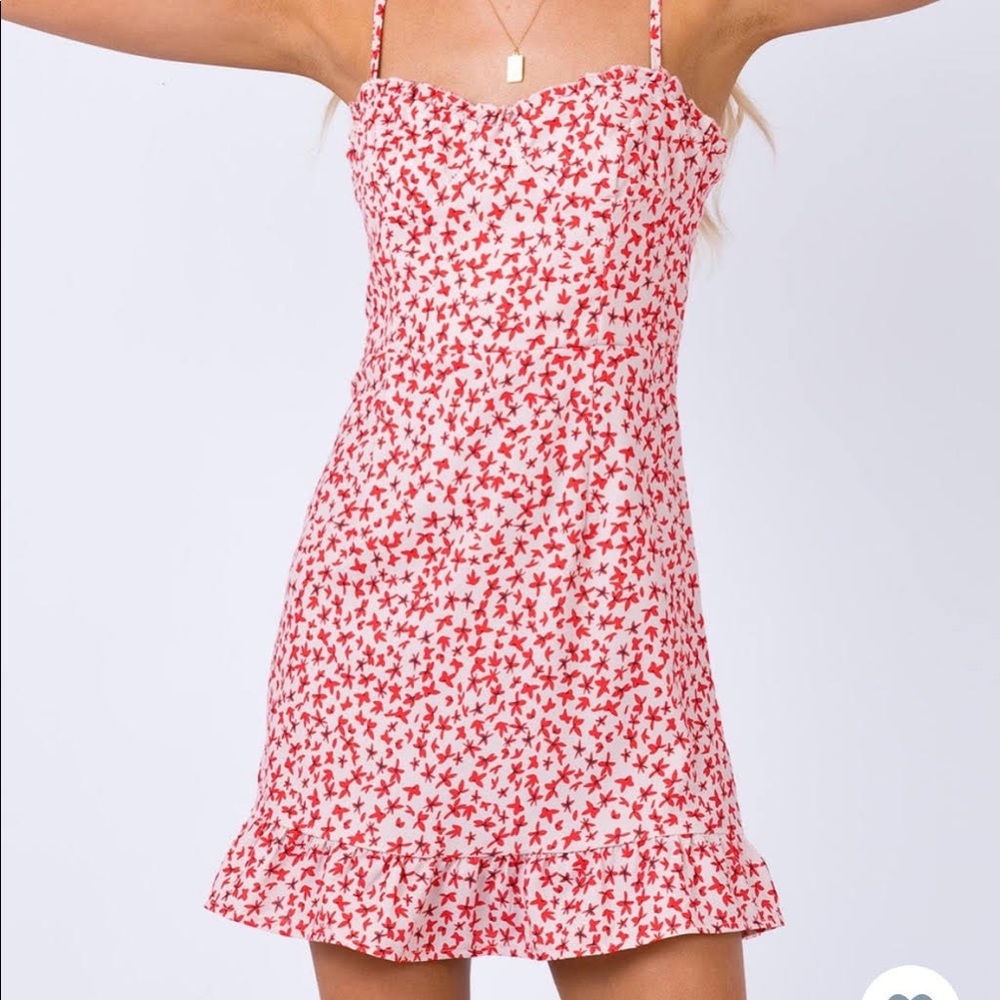 NWOT Princess Polly Blush Pink and Red Flower Dress
